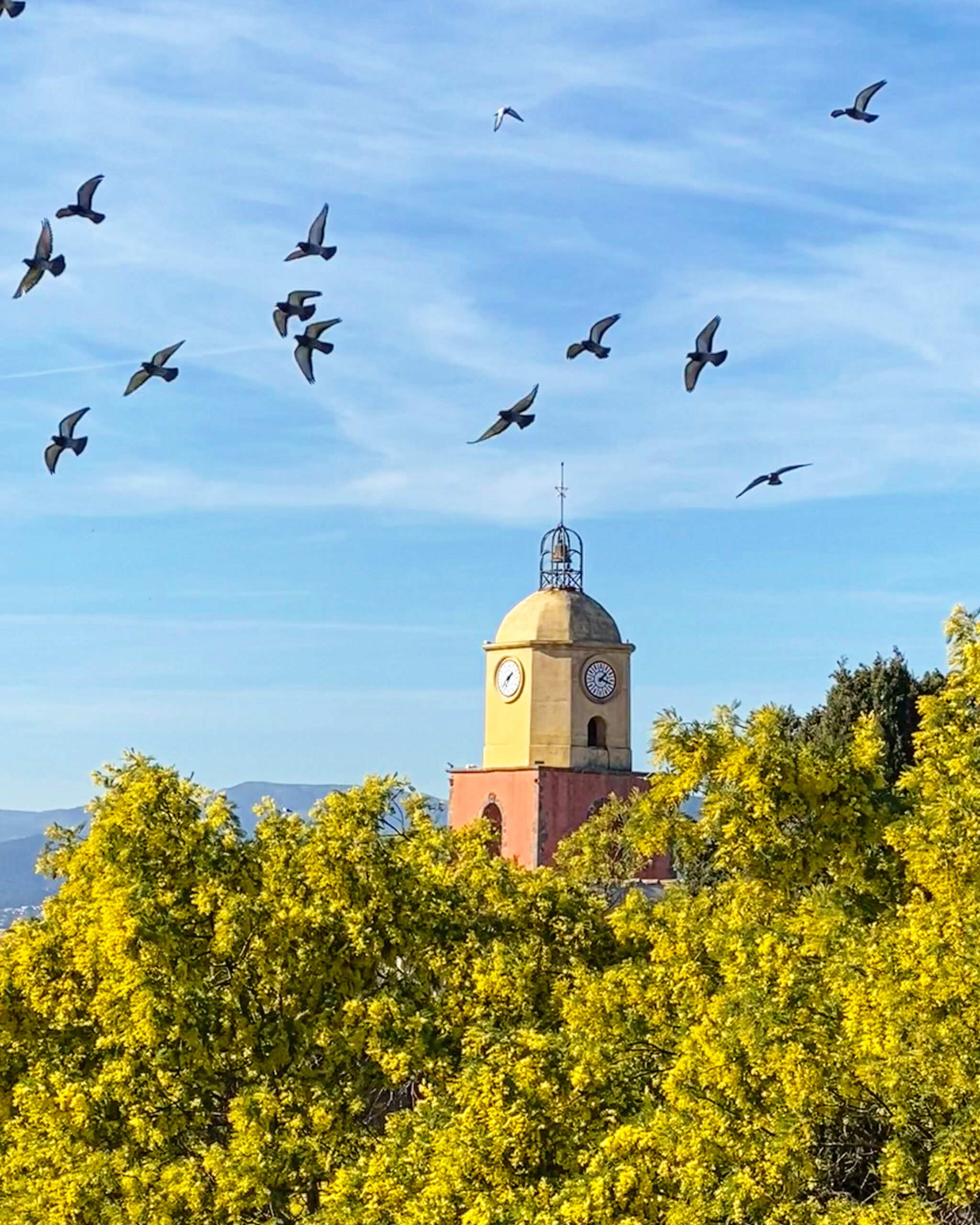 6422B972-029C-4EA6-8209-57C81B316D21